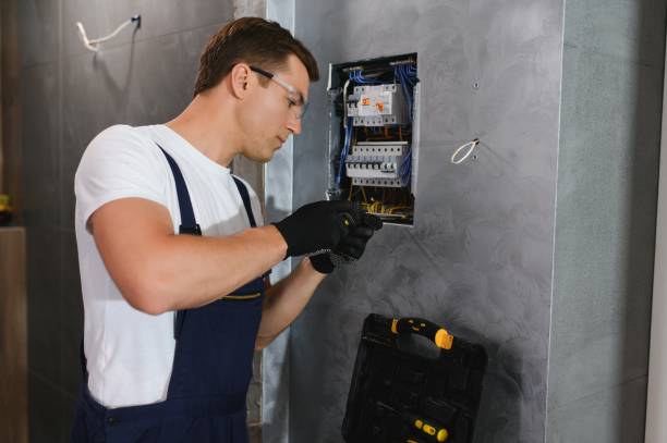 Best Electric Panel Repair  in Mukwonago, WI